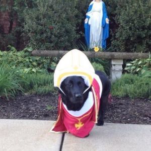 Meet your Posher, Rachael